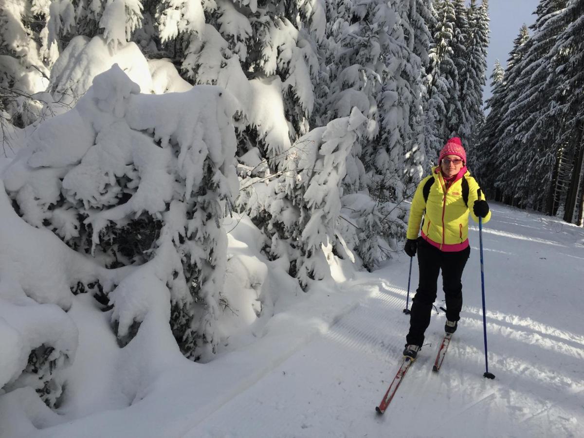 Rekreační Kobylnice Lipno * Lipno nad Vltavou